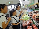 DSC03017.jpg