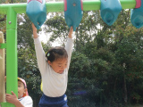 DSCF7226.jpg