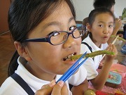 IMG_0484.jpg