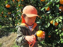 IMG_1045_256.jpg