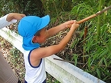 IMG_1375.jpg
