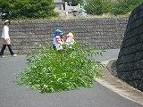 IMG_1391.jpg