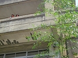 IMG_1394.jpg