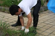 IMG_1452.jpg