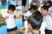 IMG_1507.jpg