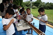 IMG_1518.jpg