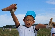 IMG_3975.jpg