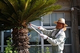 IMG_4997.jpg