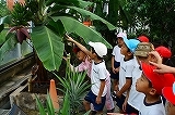 IMG_6862.jpg
