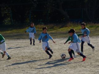 P1430190_320.jpg